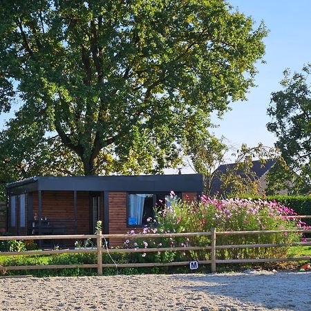 Houten Huisje Tussen Paarden Nieuwerkerken Esterno foto