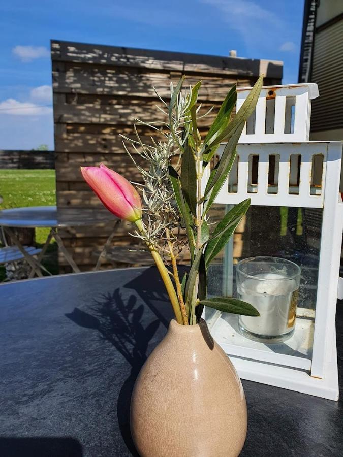 Houten Huisje Tussen Paarden Nieuwerkerken Esterno foto