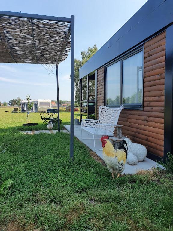 Houten Huisje Tussen Paarden Nieuwerkerken Esterno foto