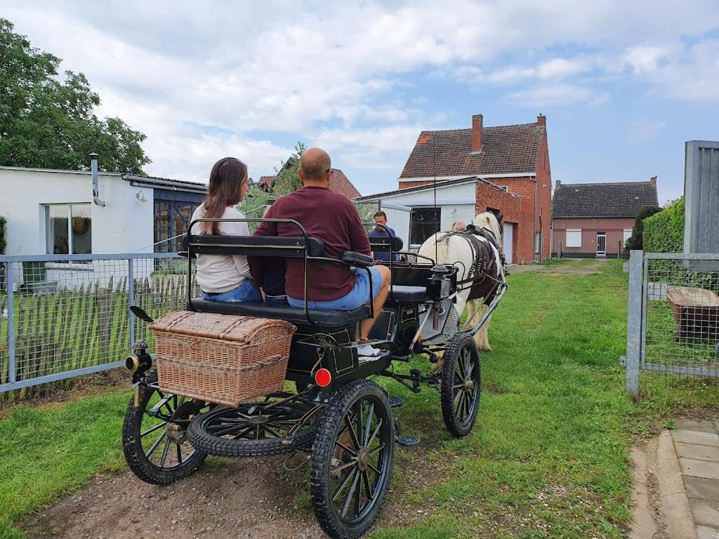Houten Huisje Tussen Paarden Nieuwerkerken Esterno foto