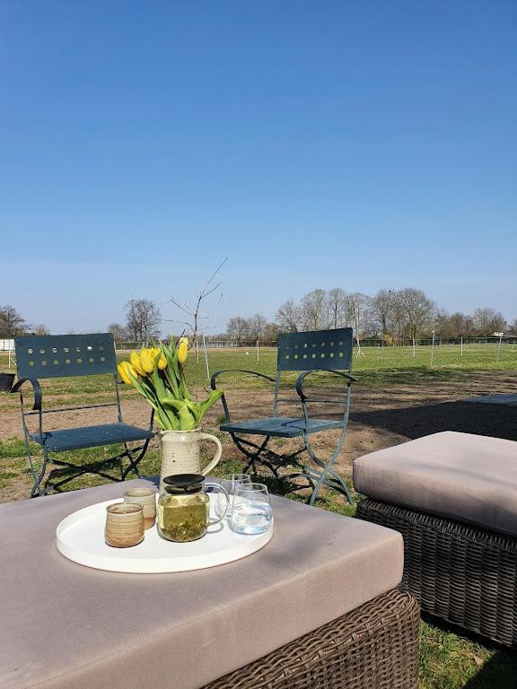 Houten Huisje Tussen Paarden Nieuwerkerken Esterno foto