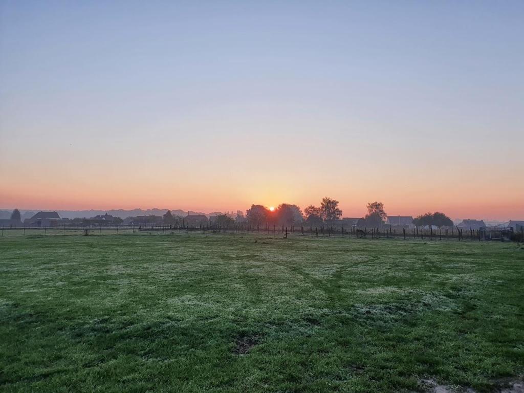 Houten Huisje Tussen Paarden Nieuwerkerken Esterno foto