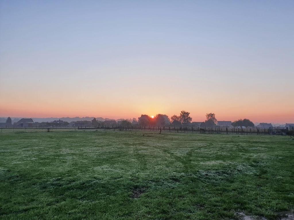 Houten Huisje Tussen Paarden Villa Nieuwerkerken Esterno foto