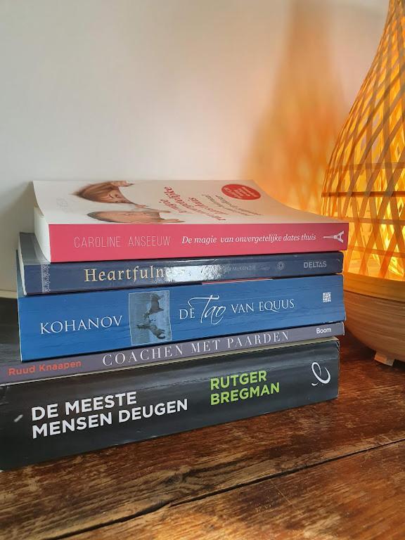 Houten Huisje Tussen Paarden Nieuwerkerken Esterno foto