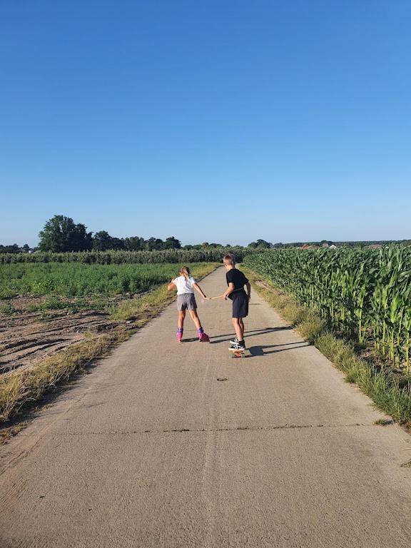Houten Huisje Tussen Paarden Nieuwerkerken Esterno foto