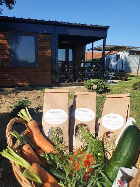 Houten Huisje Tussen Paarden Nieuwerkerken Esterno foto