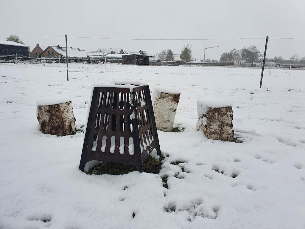 Houten Huisje Tussen Paarden Nieuwerkerken Esterno foto