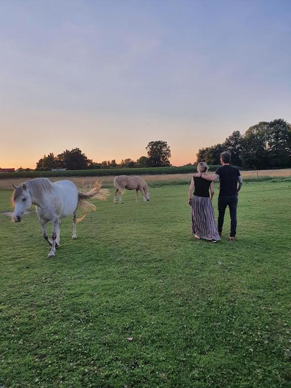 Houten Huisje Tussen Paarden Nieuwerkerken Esterno foto