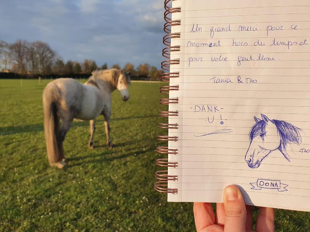 Houten Huisje Tussen Paarden Nieuwerkerken Esterno foto