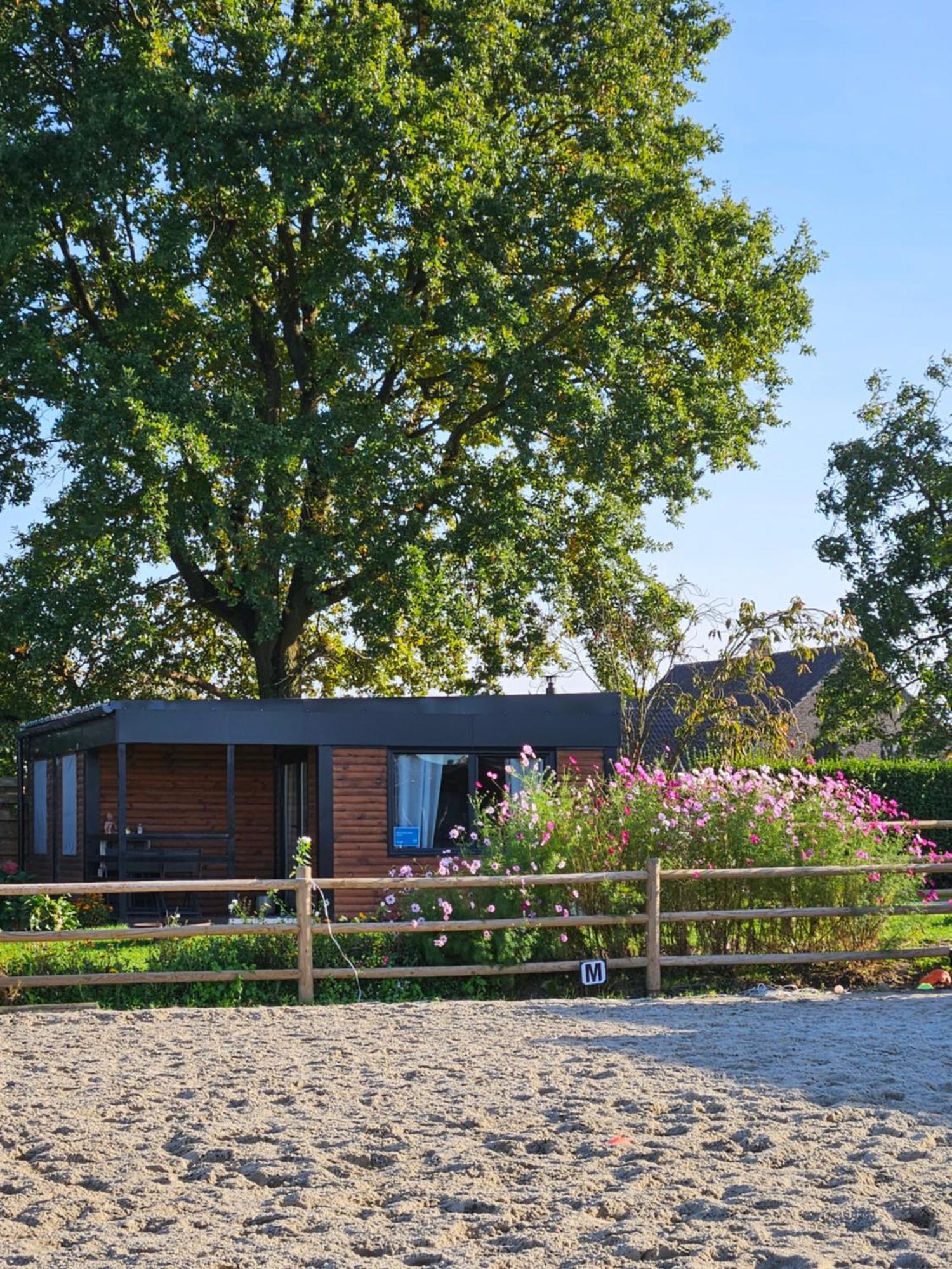 Houten Huisje Tussen Paarden Nieuwerkerken Esterno foto