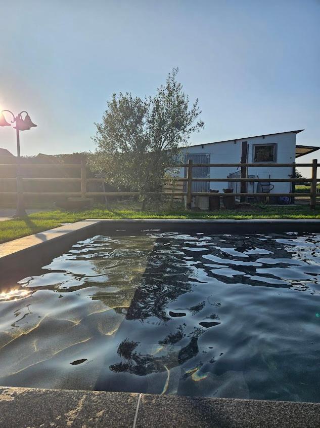 Houten Huisje Tussen Paarden Nieuwerkerken Esterno foto