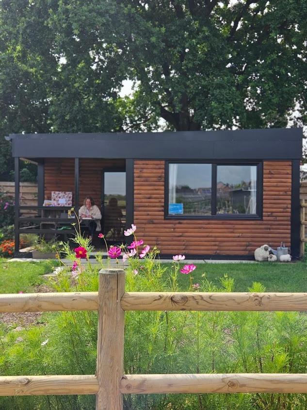 Houten Huisje Tussen Paarden Nieuwerkerken Esterno foto